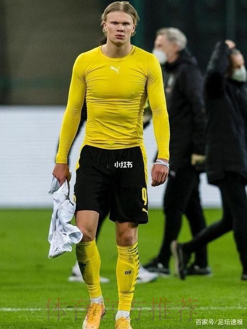 图片报：哈兰德到阿迪总部进行秘密会谈或是信号